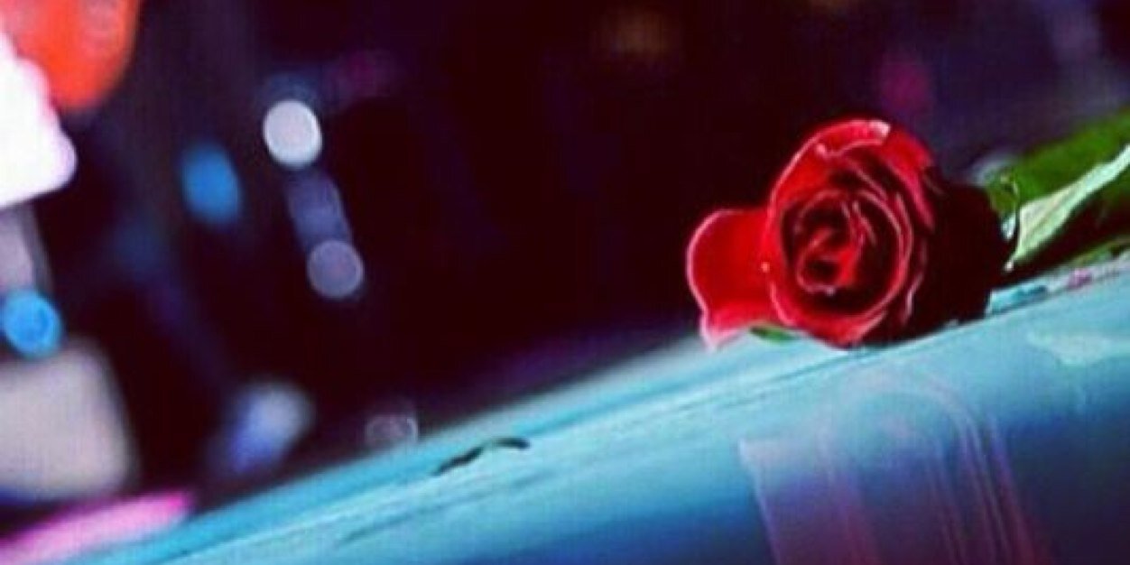 maram13_10's profile banner image