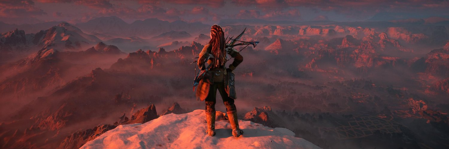 Anne van der Zanden 🐺 banner