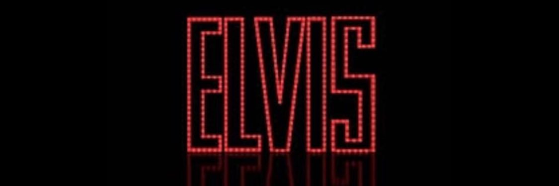 piperwilson's profile banner image
