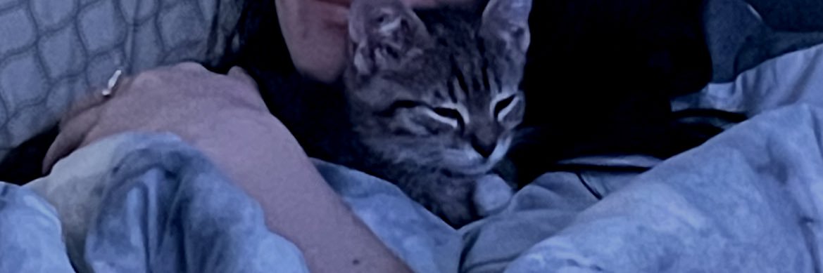 Thatboycaleb17's profile banner image