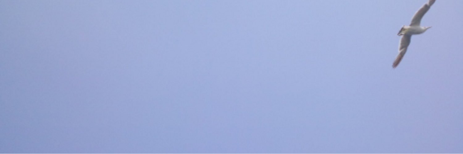 halka3145's profile banner image