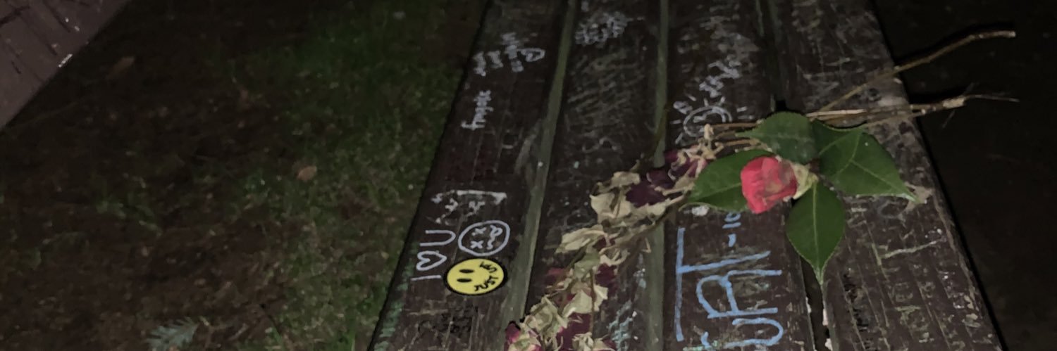 meg_falls's profile banner image