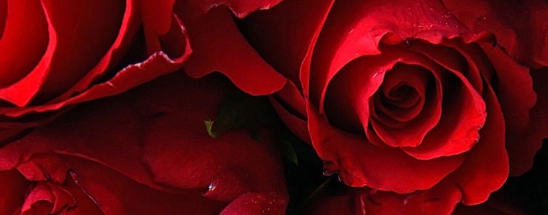 9ubpc's profile banner image