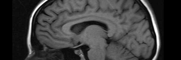 fascicles Profile Banner