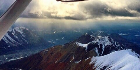 Alex Moorhead banner