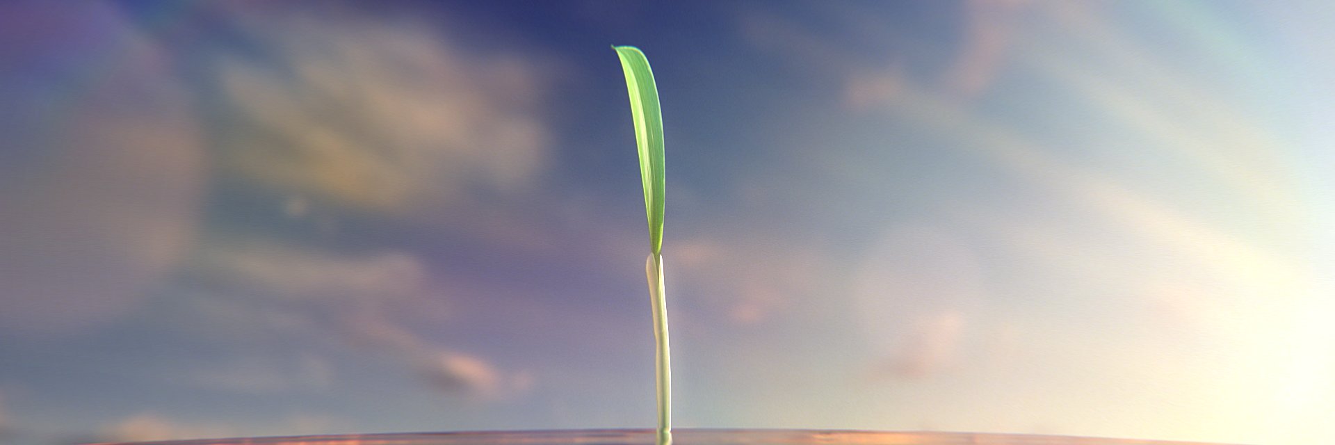 3dtutorialsnet's profile banner image