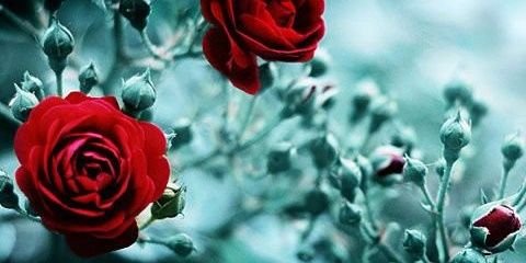 ___JACK_ME__'s profile banner image