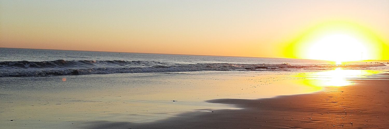 mjazminsosa's profile banner image