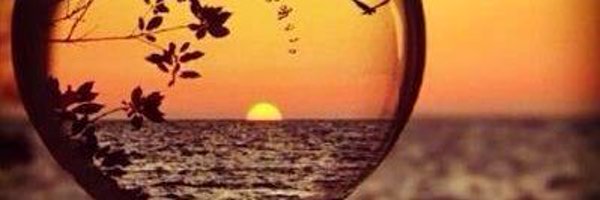 rr99_n Profile Banner