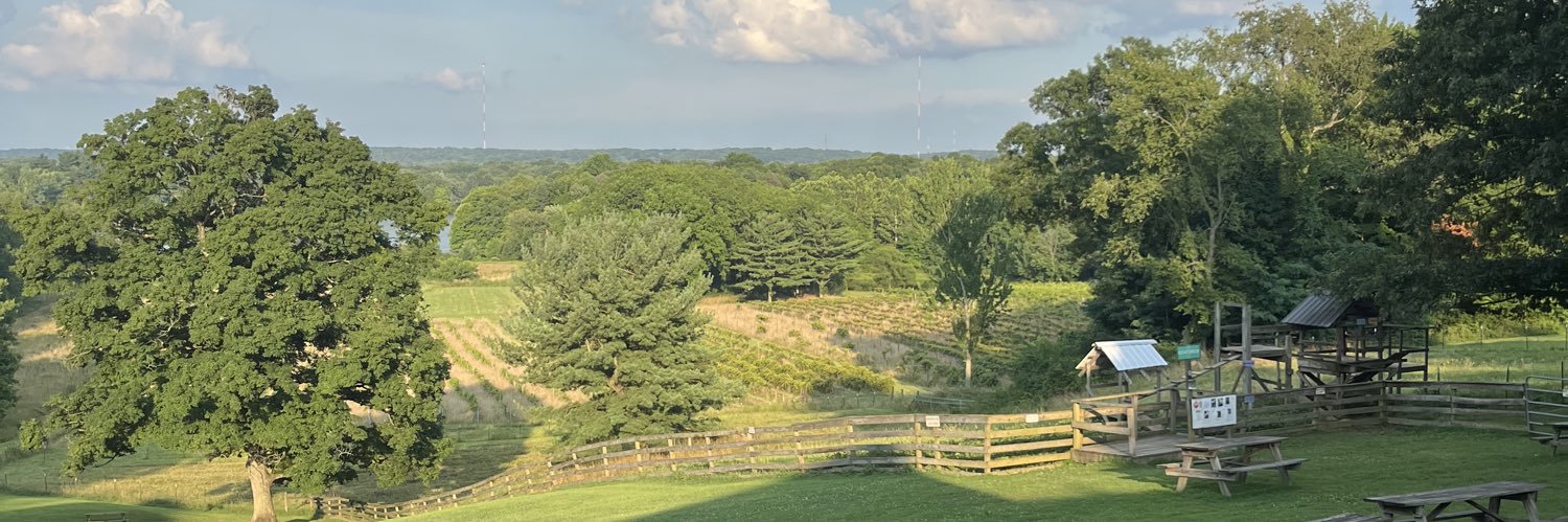 teagan_howell's profile banner image