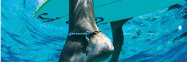 Lady_Cardinal Profile Banner