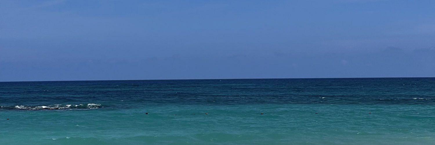 diegobendeck's profile banner image