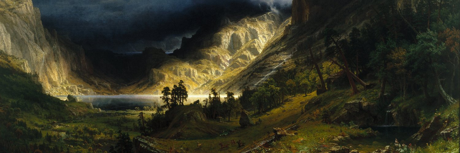 steucyn's profile banner image
