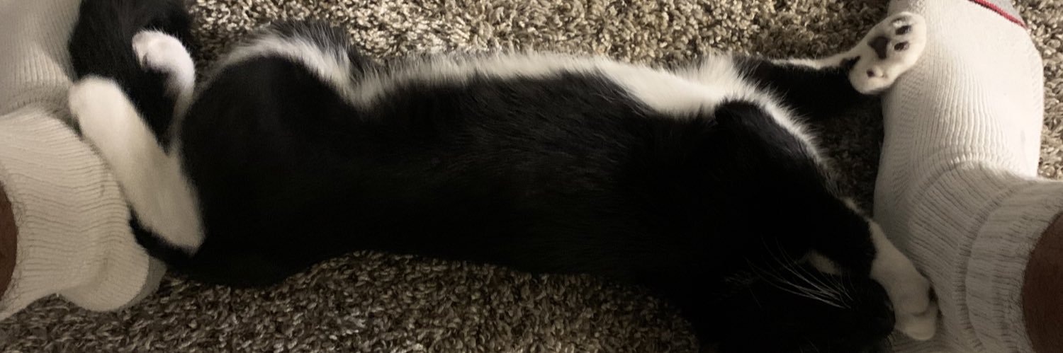 MarcAThomass's profile banner image