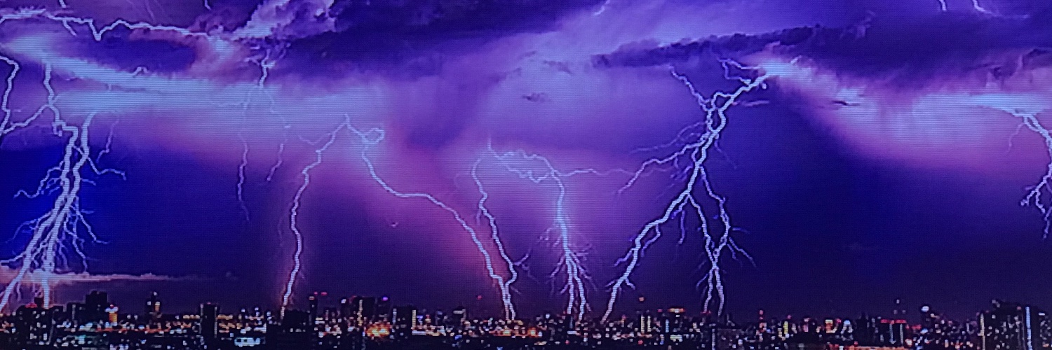 Tree_Top's profile banner image
