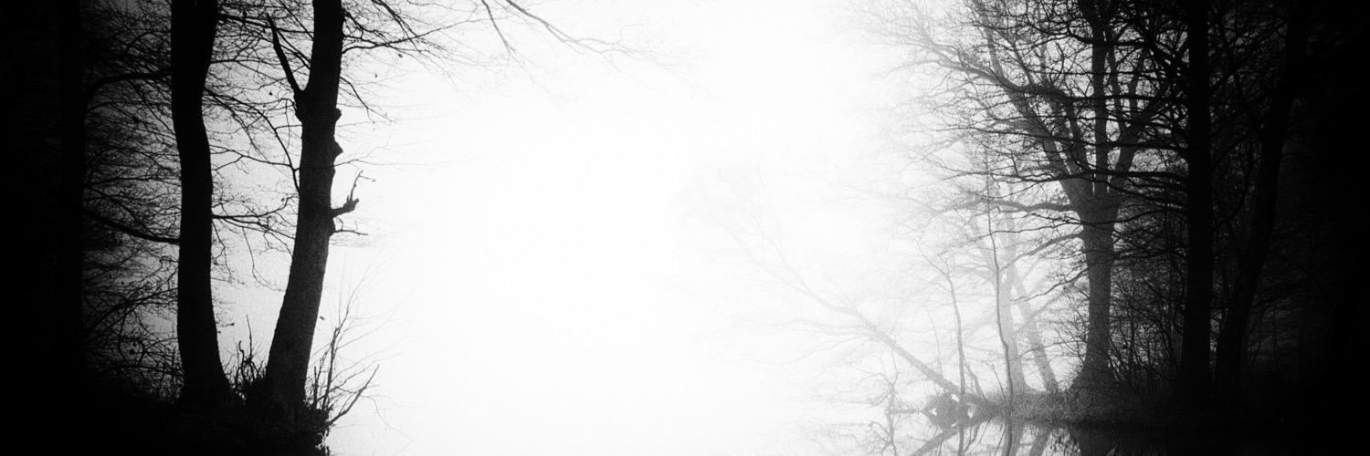ZebulonWilder's profile banner image