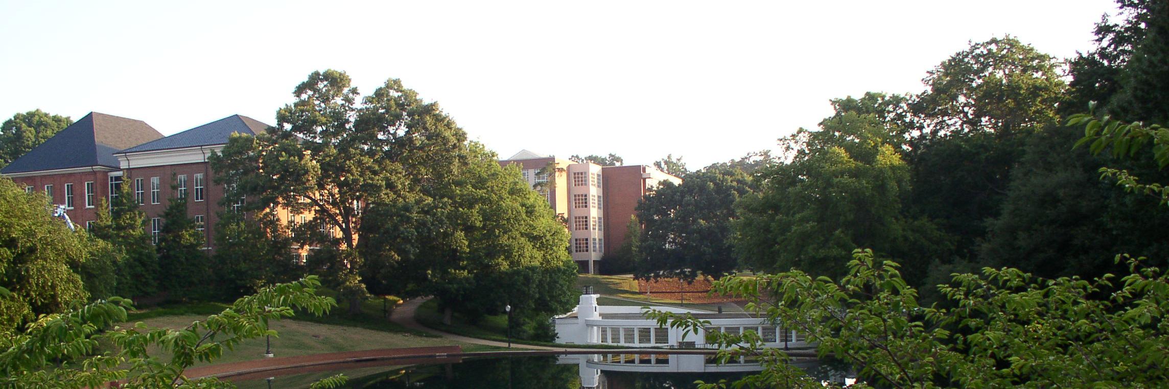 ClemsonIISE's profile banner image