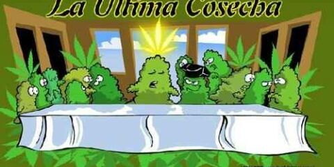 oscarsancebria1's profile banner image