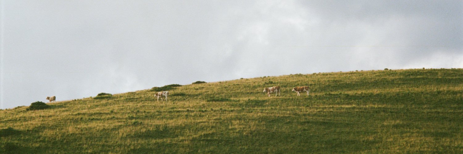 nochbarin's profile banner image