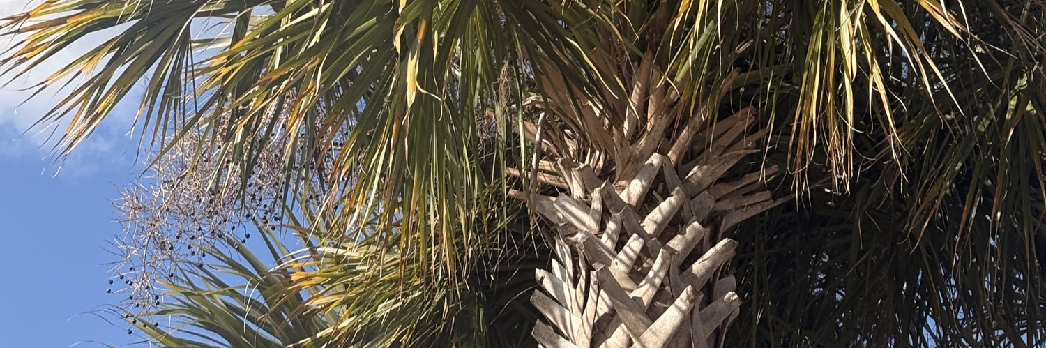 sleepymama_'s profile banner image