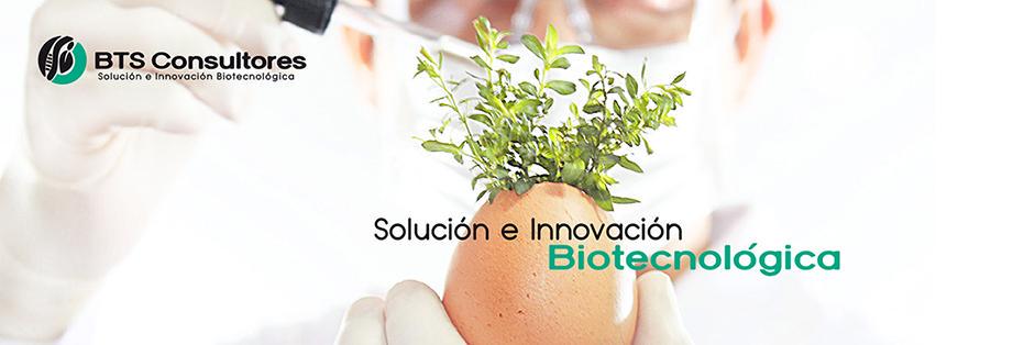 BTSCONSULTORES's profile banner image