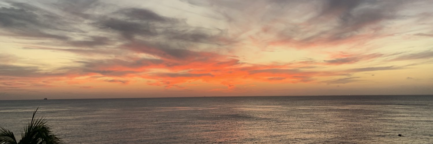 vicrap8's profile banner image