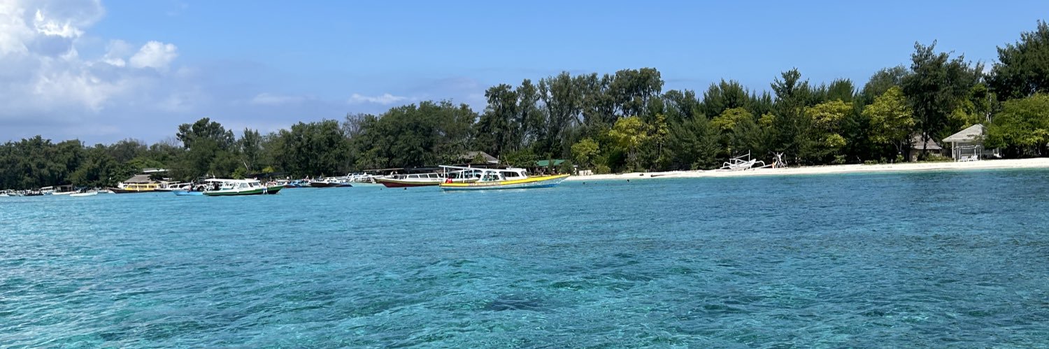 Bridget galloway banner