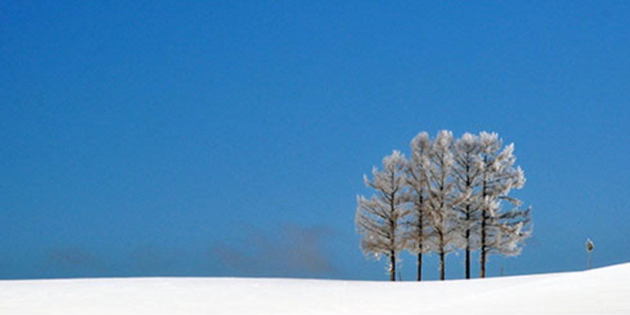 ammkaii's profile banner image