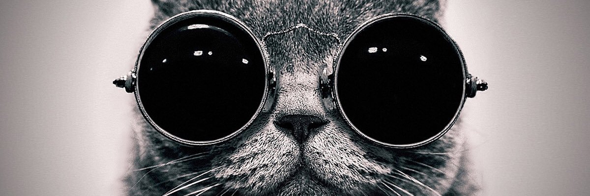 KattAllen_'s profile banner image