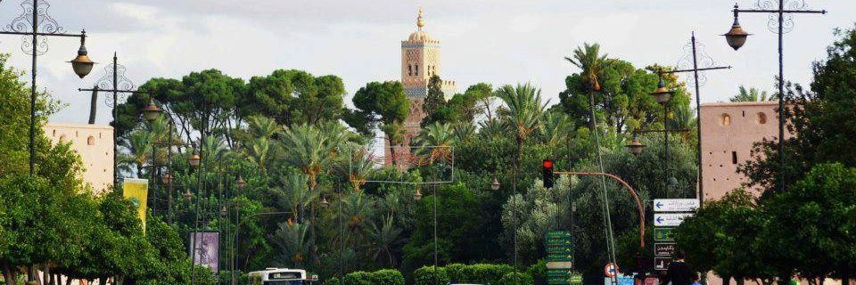 YBOUKAIDI's profile banner image