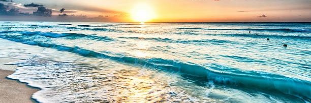 Ginette Martin banner