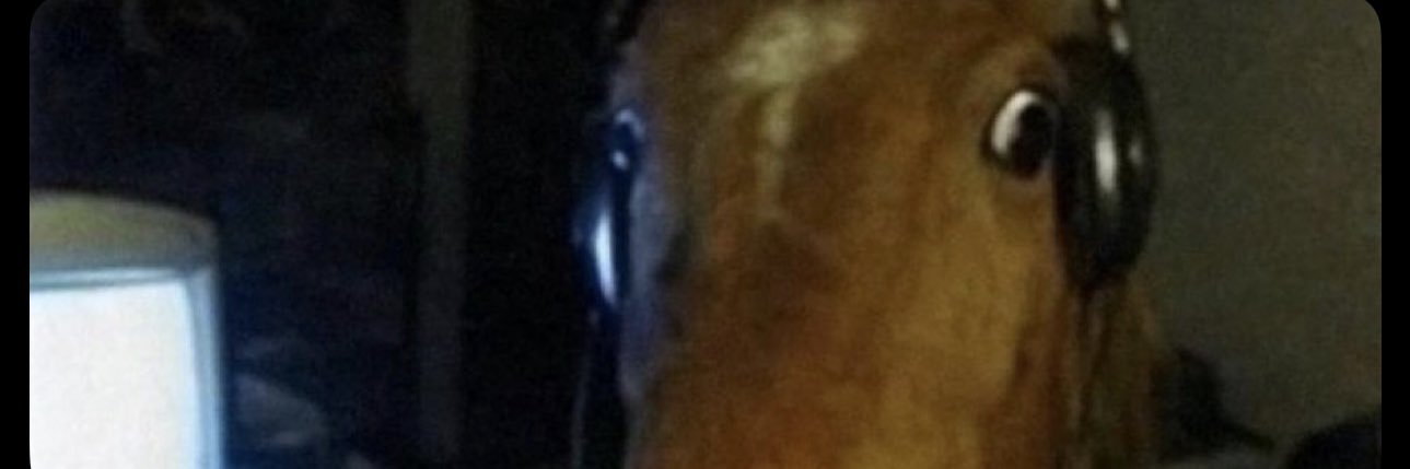 Arthur_cnd's profile banner image