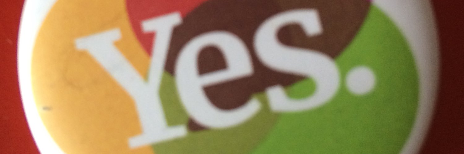smashing bananas banner