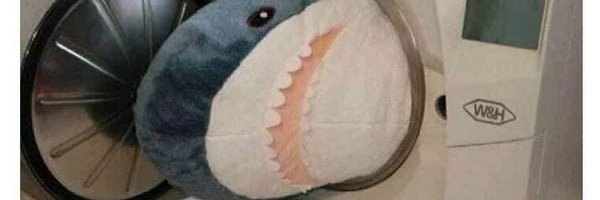 forget_mheebear Profile Banner