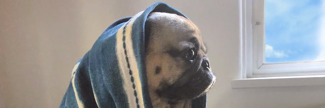 NgZzetta's profile banner image