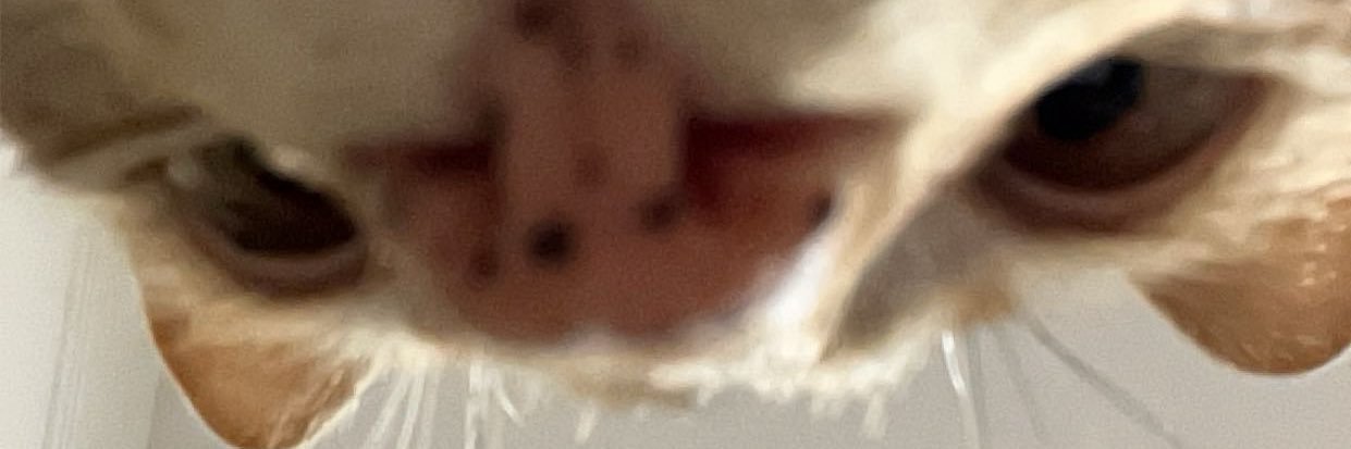 peaciisa's profile banner image