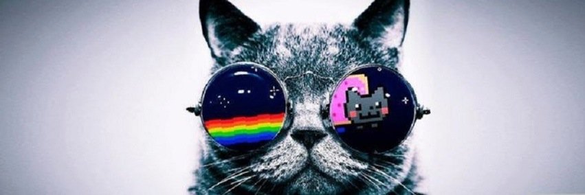 I_Heart_Pets's profile banner image