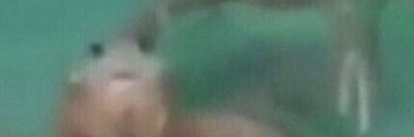 Conor banner