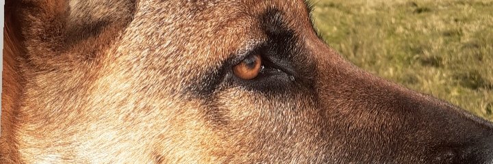Magallanes__m's profile banner image