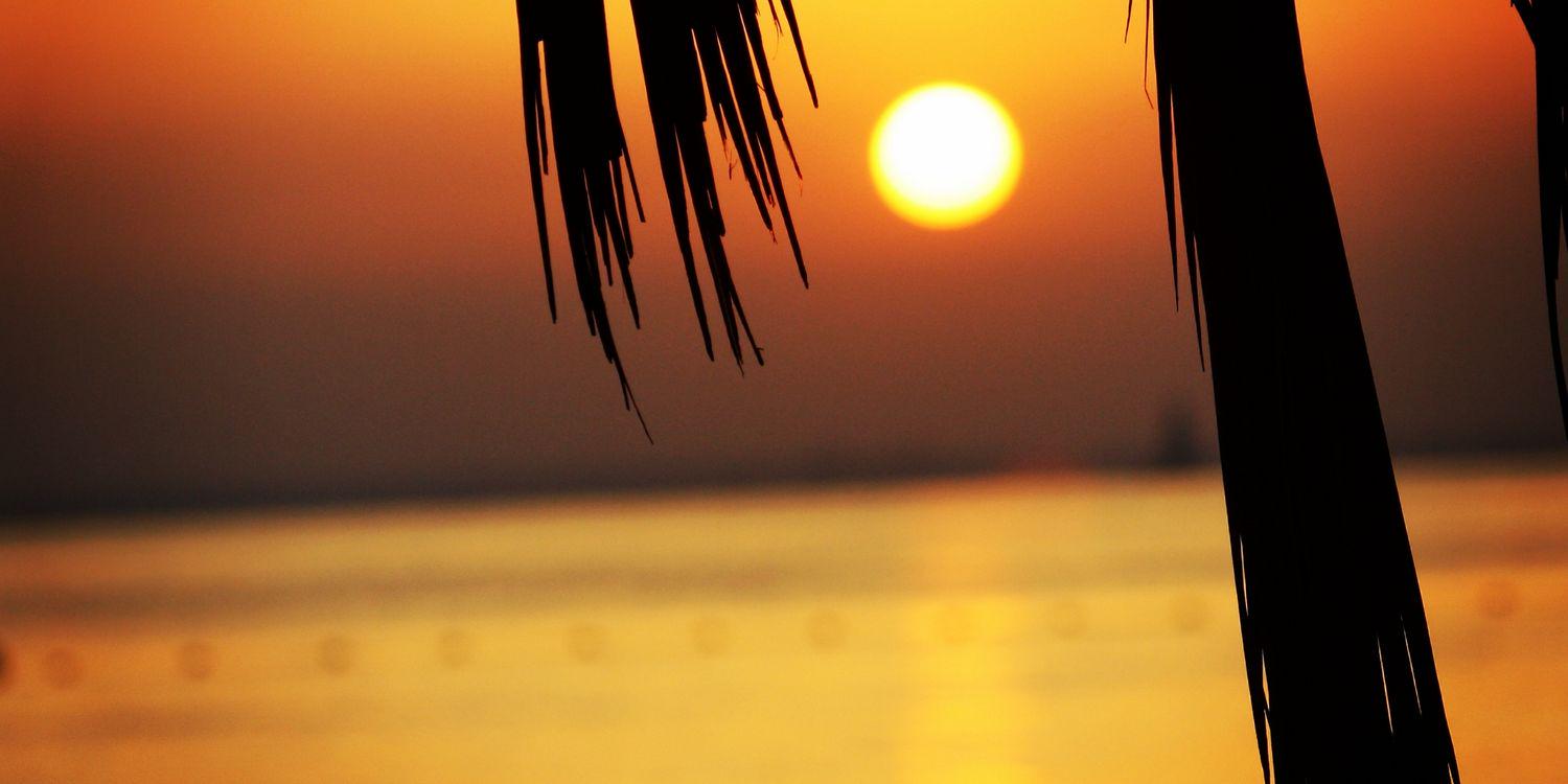 MolinaSandri's profile banner image