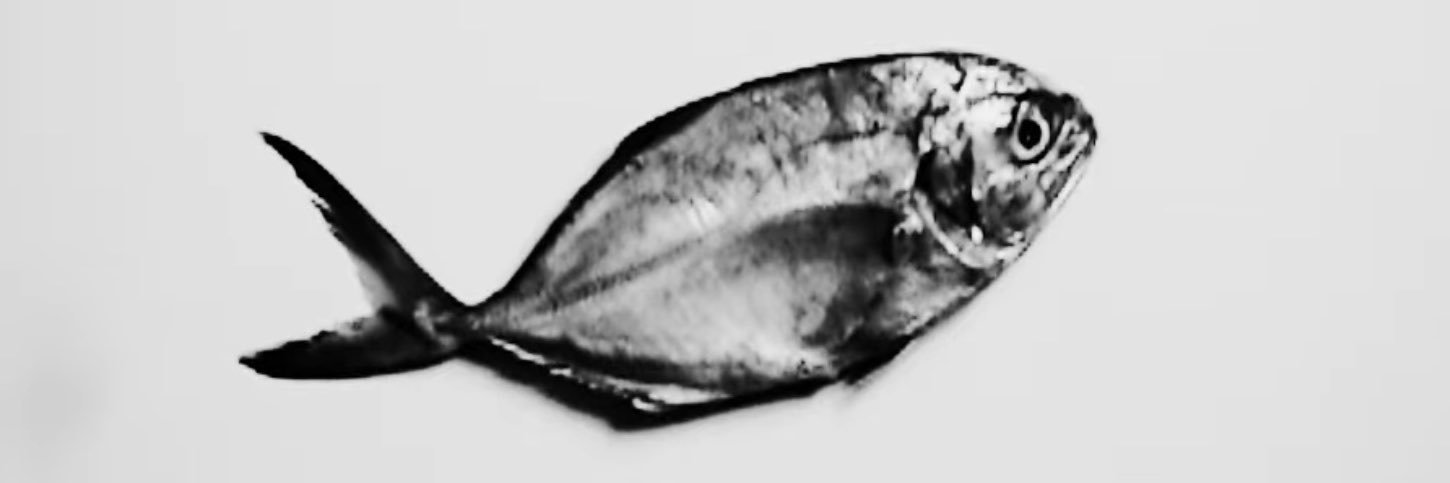 valusey's profile banner image