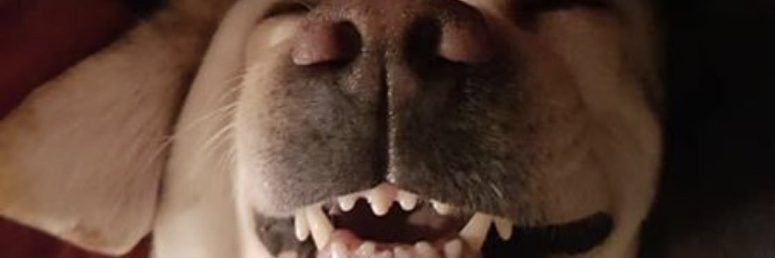 bethwarnerx's profile banner image