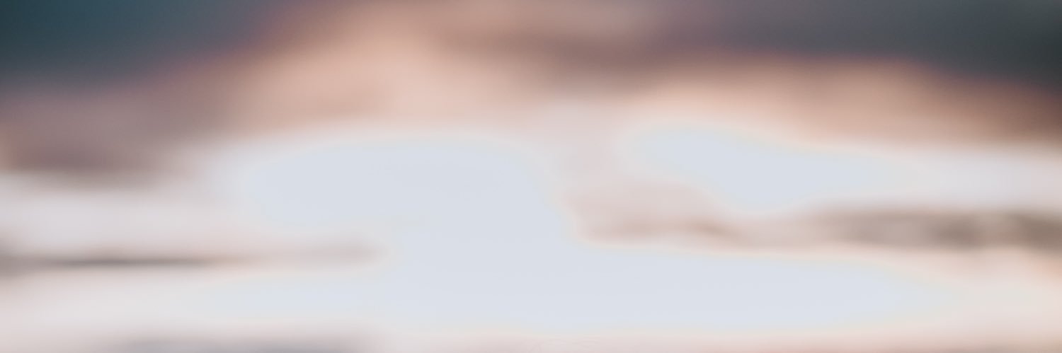 Hannah Whitten banner