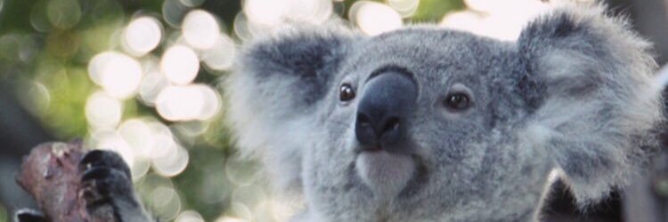 Bogdaaaaaaaan's profile banner image