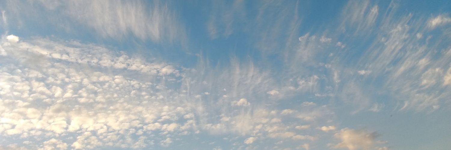 Sebastian Tombs banner