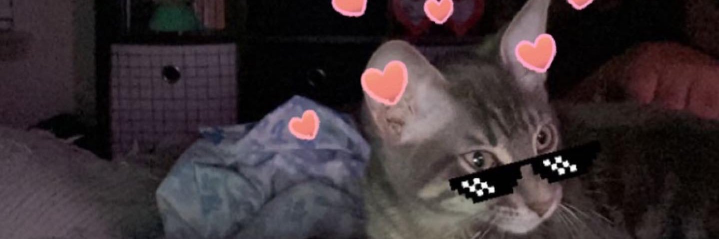 madamsego's profile banner image