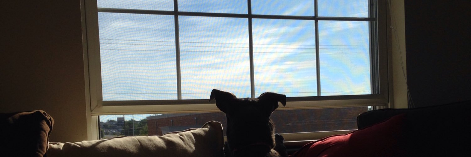 caitieee3's profile banner image