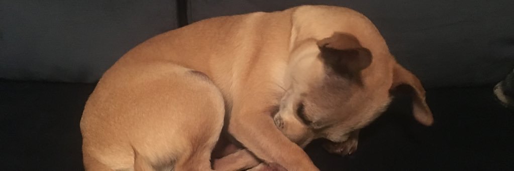 sarahluvthomas's profile banner image