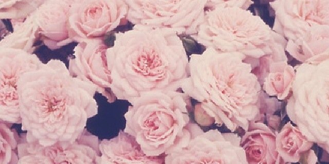 dndychk's profile banner image