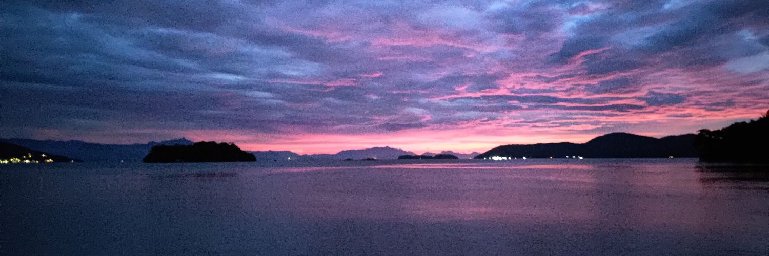 _leonunes's profile banner image